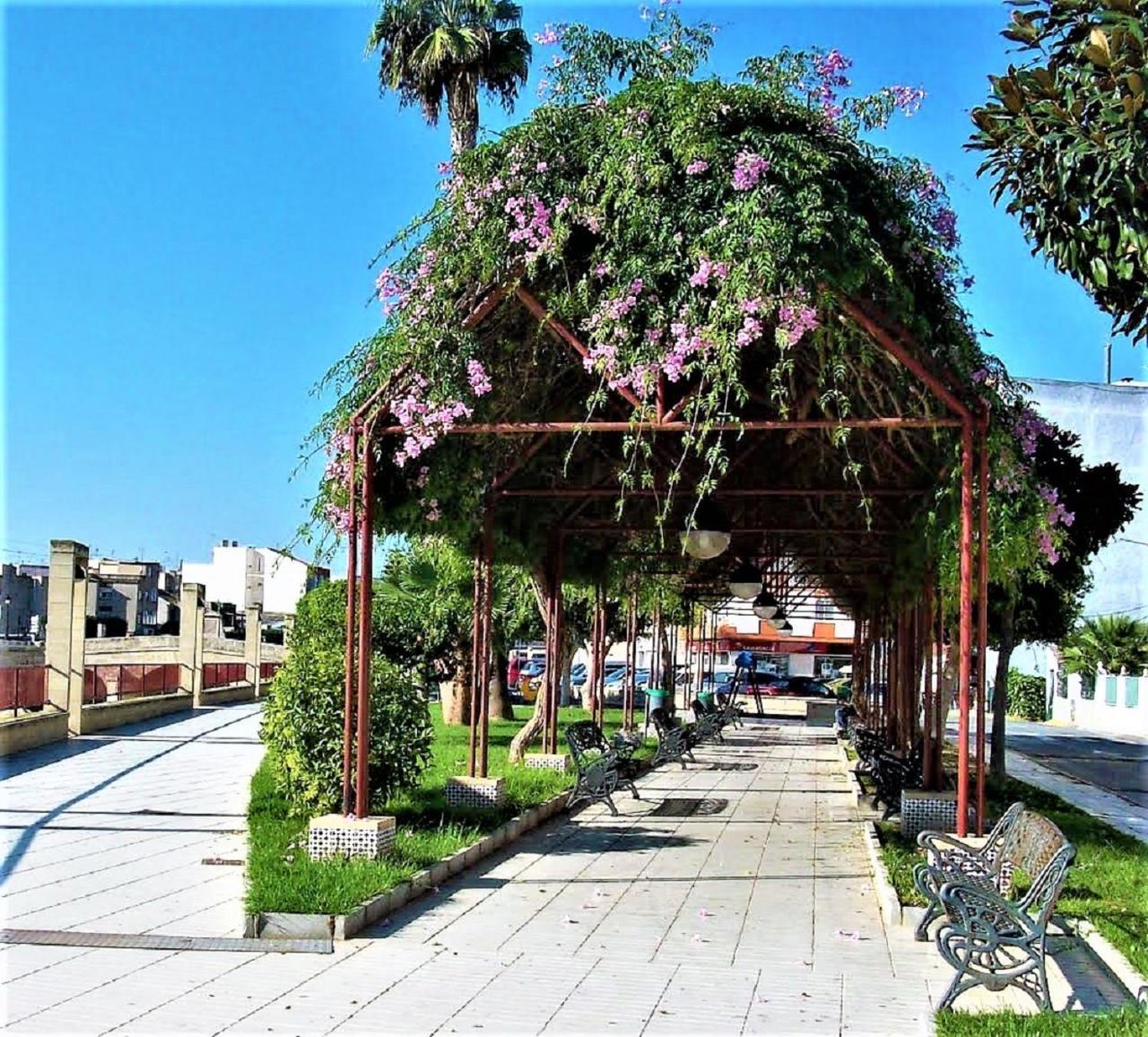 Apartment Segura 2Bd Rojales Εξωτερικό φωτογραφία